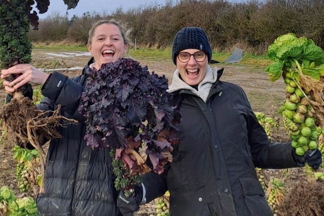 An image of two people looking happy and holding kalettes in a farmers field