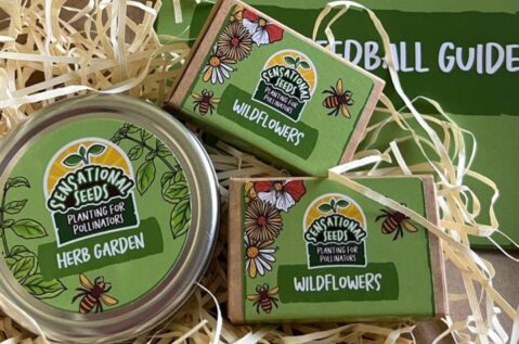 The image shows green tins labeled "Sensational Seeds Planting for Pollinators" The items are placed on a bed of straw-like material. The packaging features illustrations of flowers and bees.
