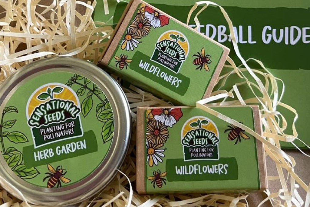 The image shows green tins labeled "Sensational Seeds Planting for Pollinators" The items are placed on a bed of straw-like material. The packaging features illustrations of flowers and bees.